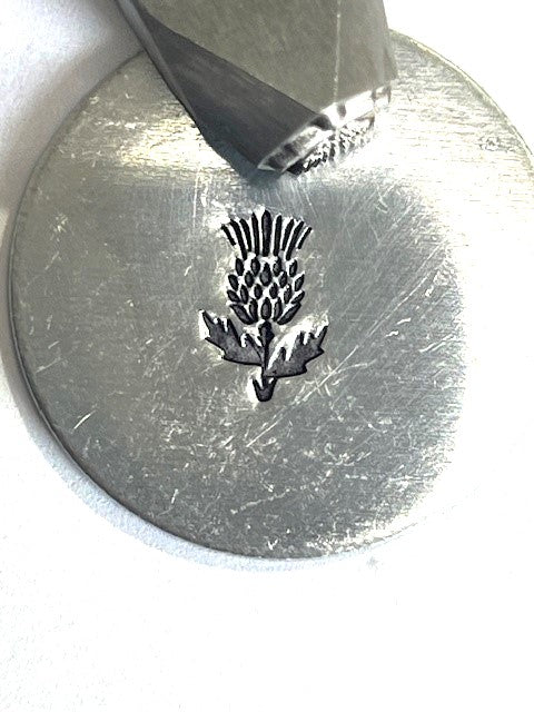 Thistle