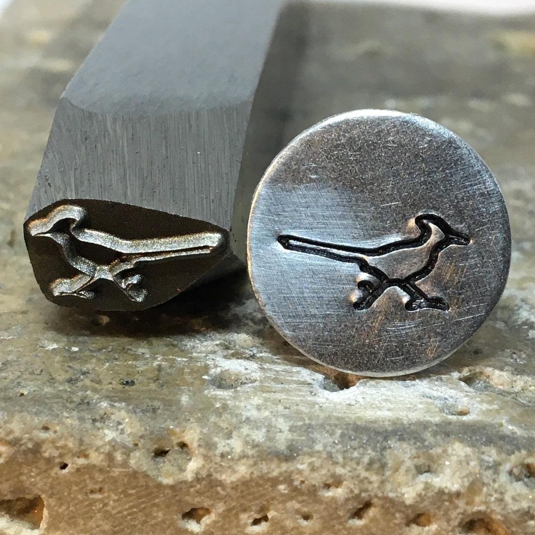 Roadrunner Bird