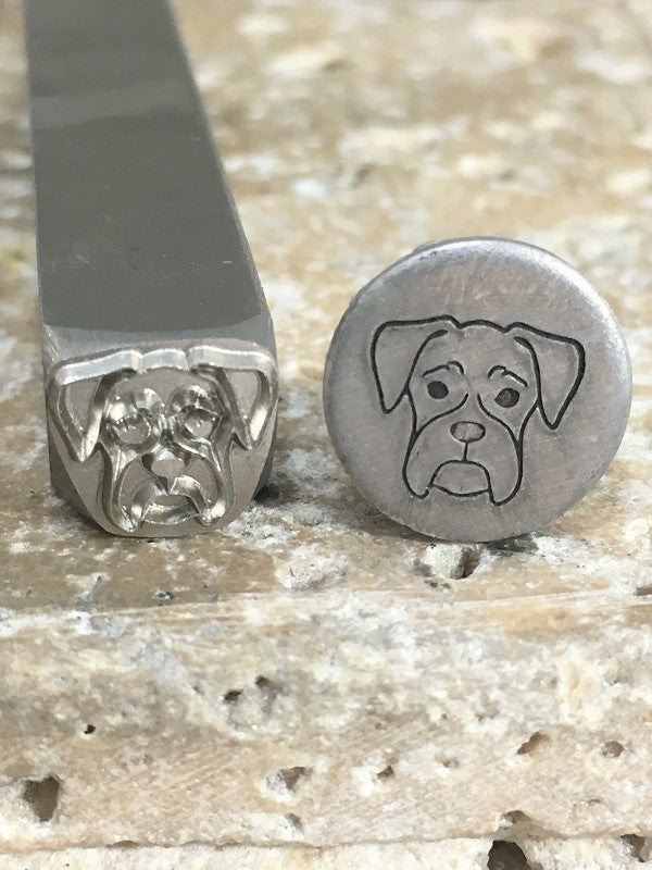 Boxer Dog